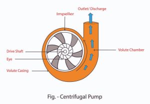 Centrifugal Pump